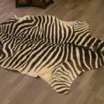 337 3324 Zebraskinn